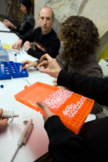 atelier adn - police scientifique, 20/70