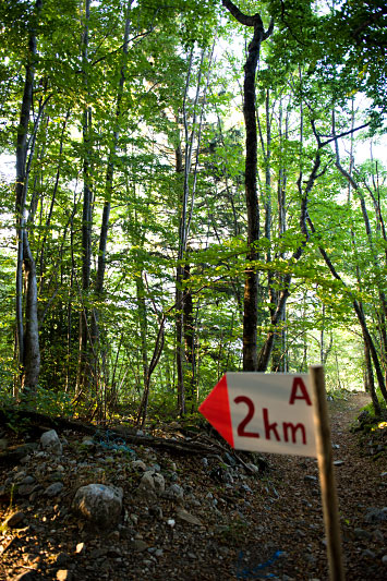 cross des chioures 2009, 6/30