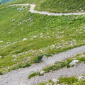 dents du midi, 5/46