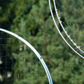 coupe icare 2009, 19/81