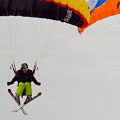 coupe icare blanche 2010, 2/70