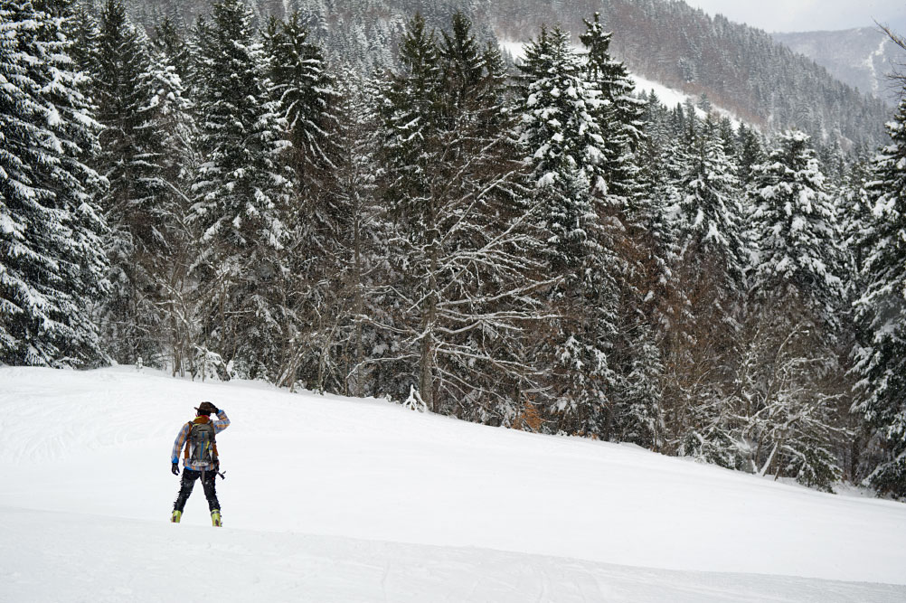 coupe icare blanche 2013, 7/61