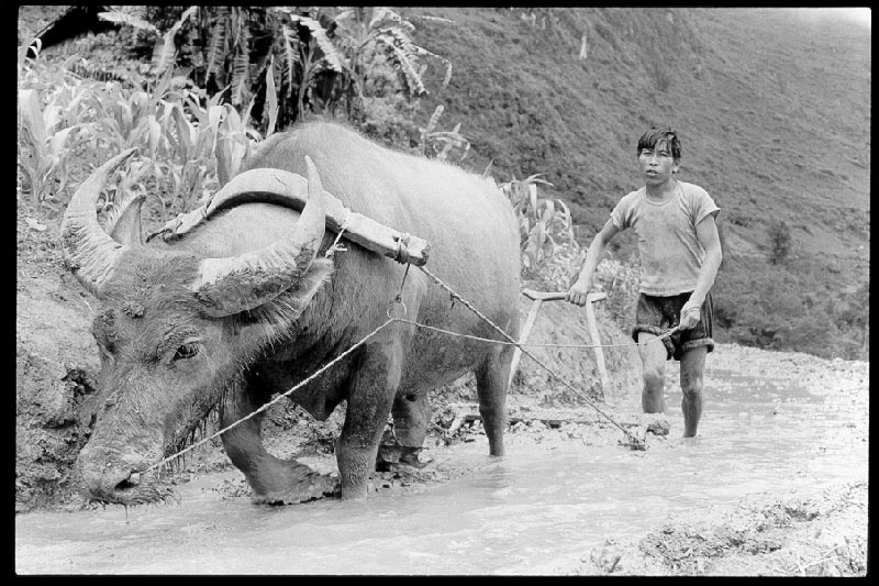 vietnam (2000), 5/26